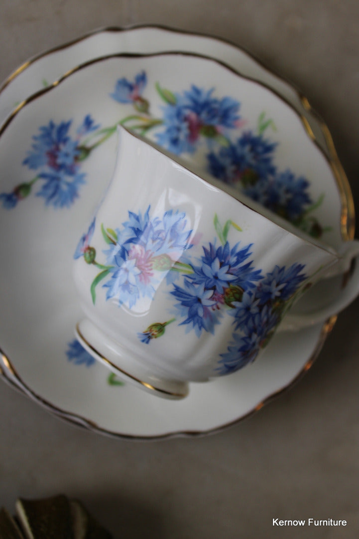 Mayfair Bone China Cups & Saucers - Kernow Furniture