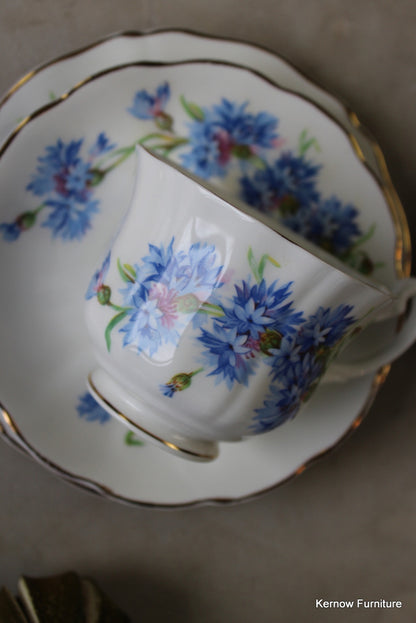 Mayfair Bone China Cups & Saucers - Kernow Furniture