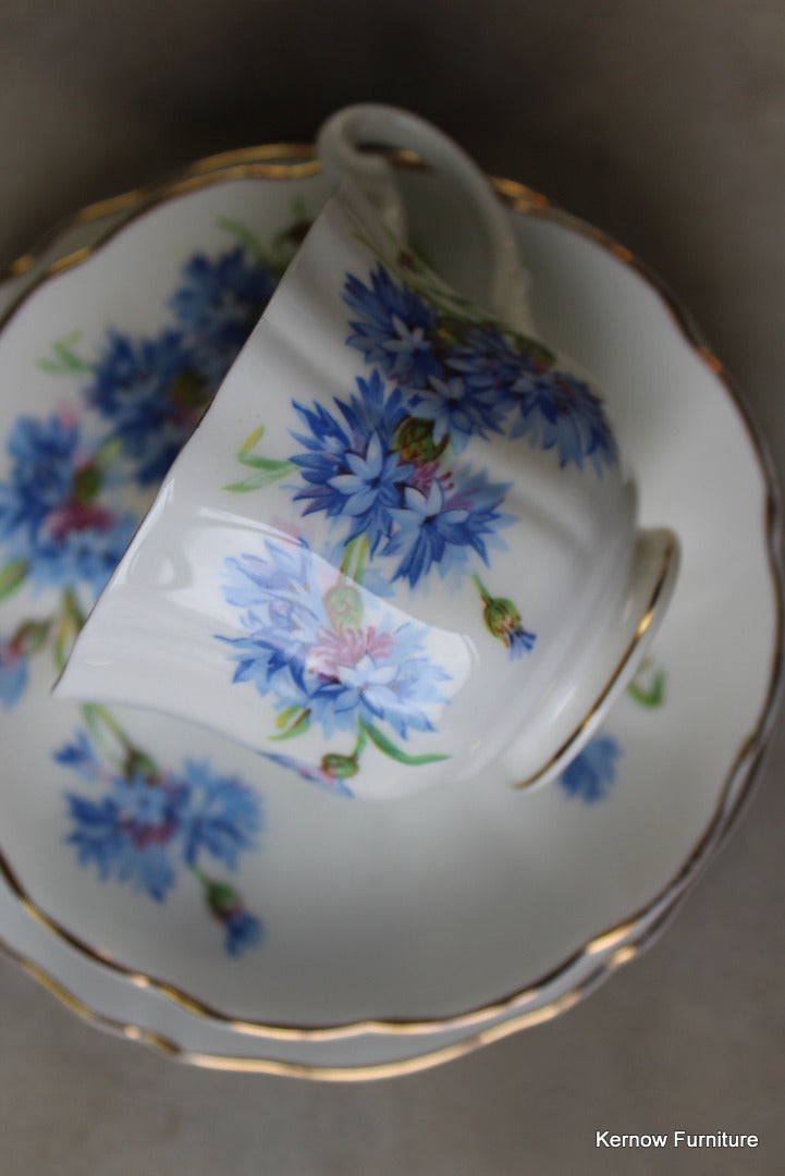 Mayfair Bone China Cups & Saucers - Kernow Furniture