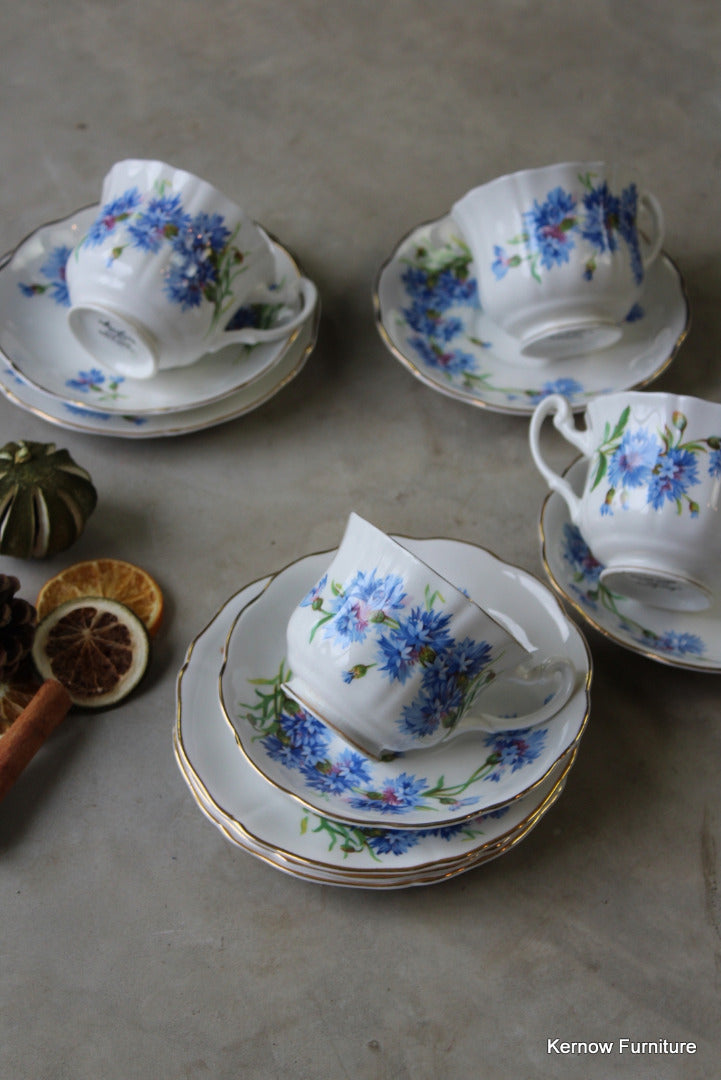 Mayfair Bone China Cups & Saucers - Kernow Furniture