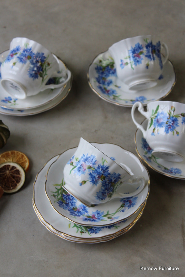 Mayfair Bone China Cups & Saucers - Kernow Furniture