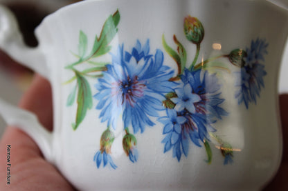 Mayfair Bone China Cups & Saucers - Kernow Furniture