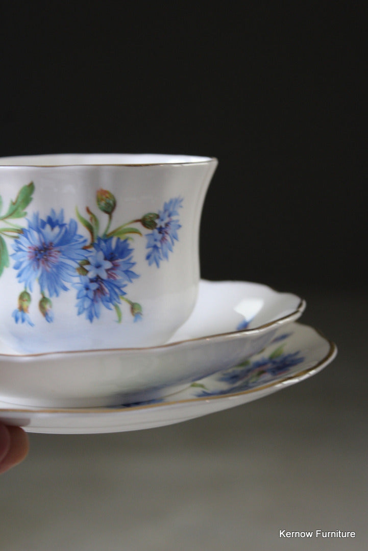 Mayfair Bone China Cups & Saucers - Kernow Furniture