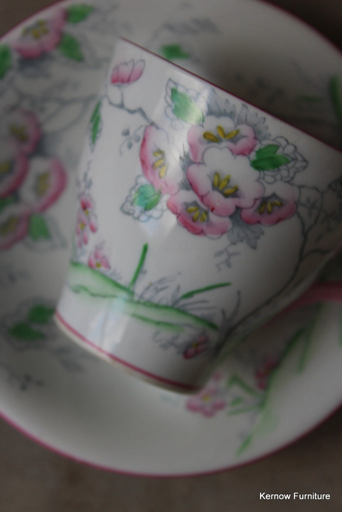 C W S Fantasy 6 Cups & Saucers - Kernow Furniture