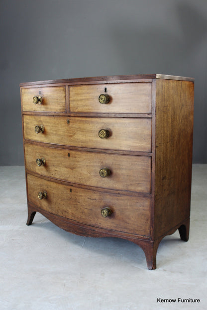 Antique Mahogany Bow Front Chest of Drawers - Kernow Furniture