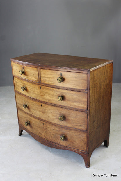 Antique Mahogany Bow Front Chest of Drawers - Kernow Furniture