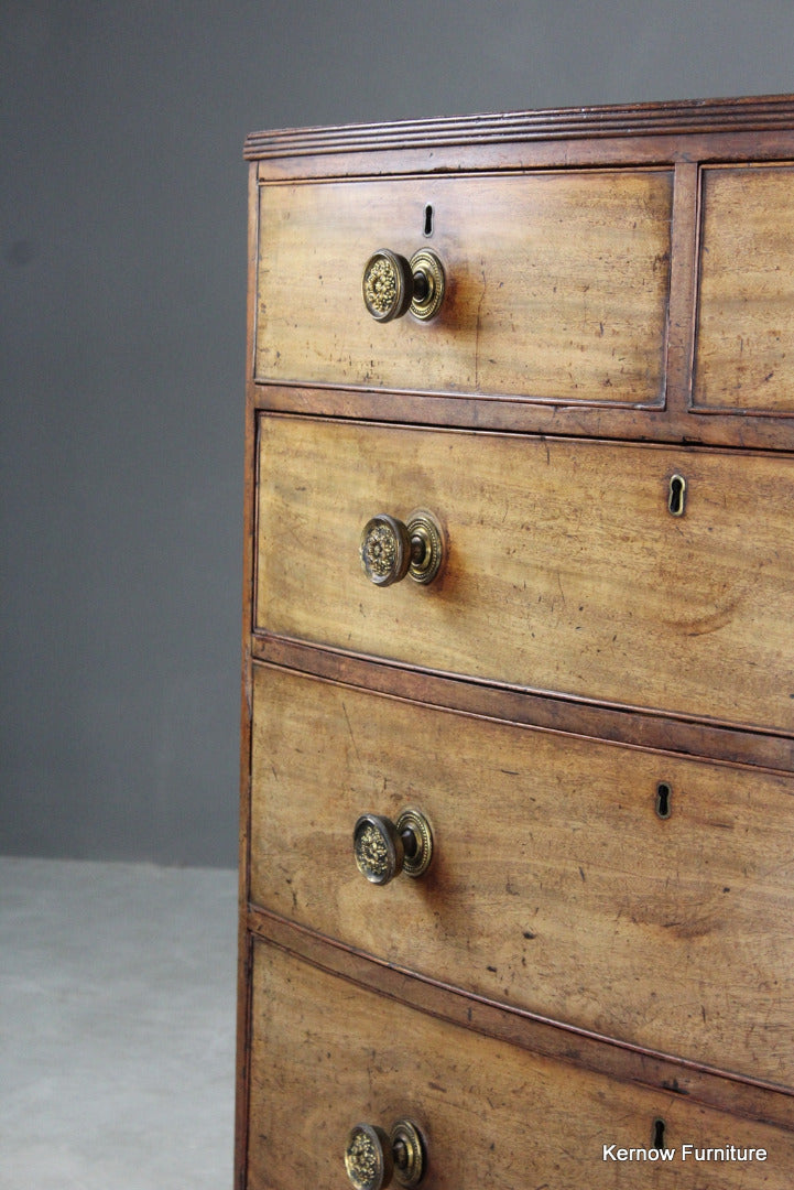 Antique Mahogany Bow Front Chest of Drawers - Kernow Furniture