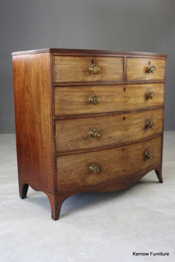 Antique Mahogany Bow Front Chest of Drawers - Kernow Furniture