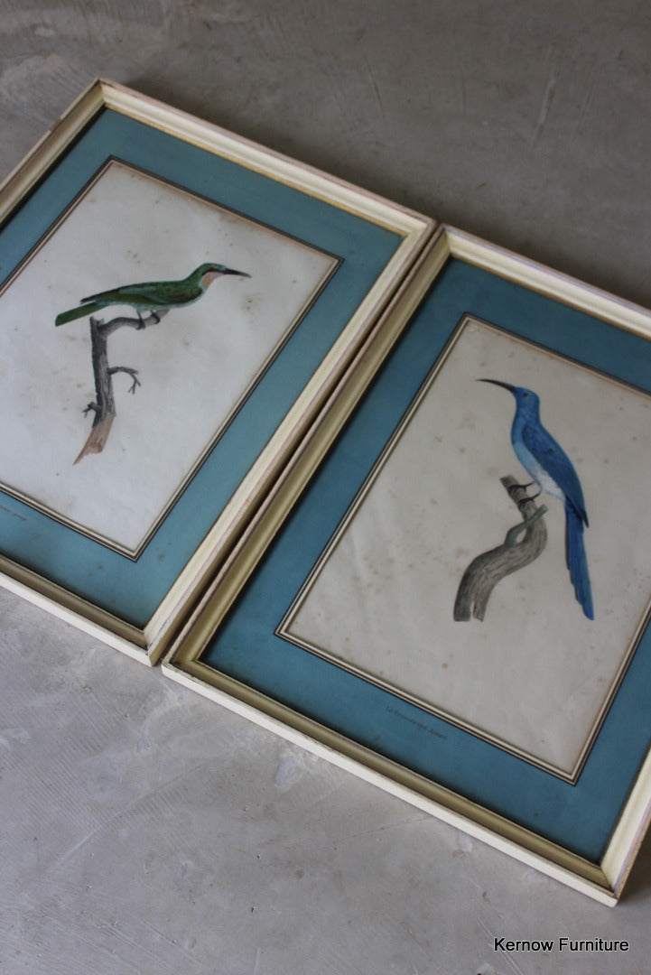 Pair Framed French Bird Engravings - Kernow Furniture