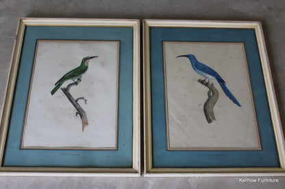 Pair Framed French Bird Engravings - Kernow Furniture