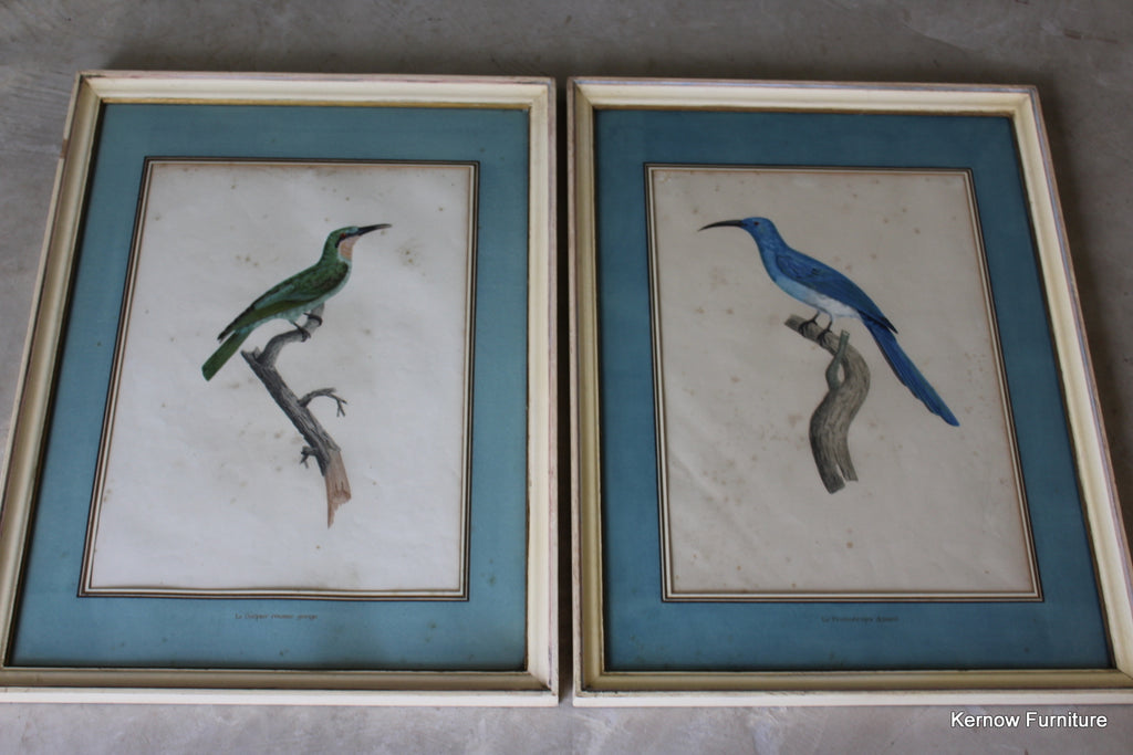 Pair Framed French Bird Engravings - Kernow Furniture