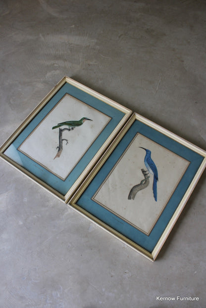 Pair Framed French Bird Engravings - Kernow Furniture