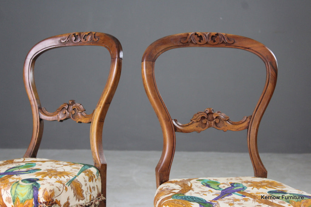 Pair French Balloon Back Dining Chairs - Kernow Furniture