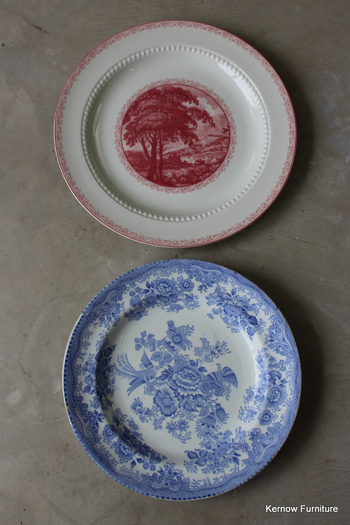 Pair Royal Cauldon Vintage Plates - Kernow Furniture