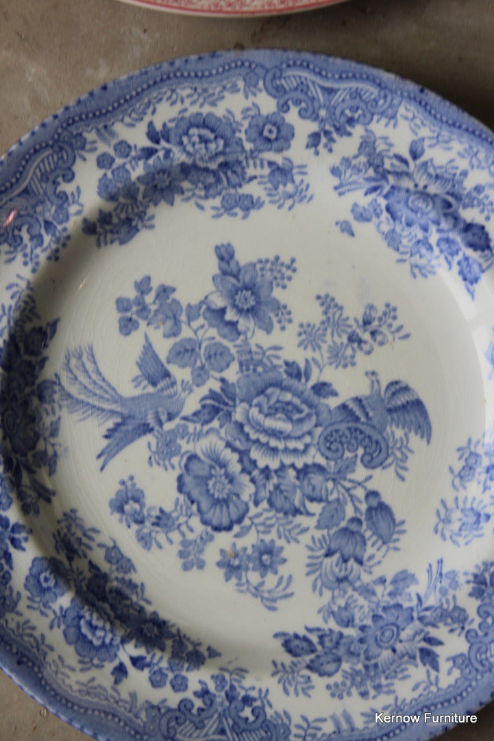 Pair Royal Cauldon Vintage Plates - Kernow Furniture