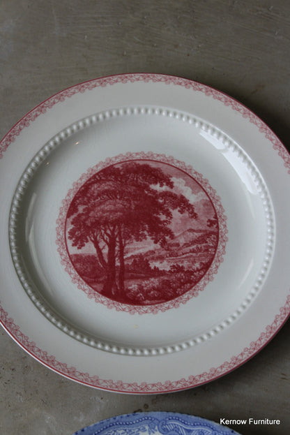 Pair Royal Cauldon Vintage Plates - Kernow Furniture