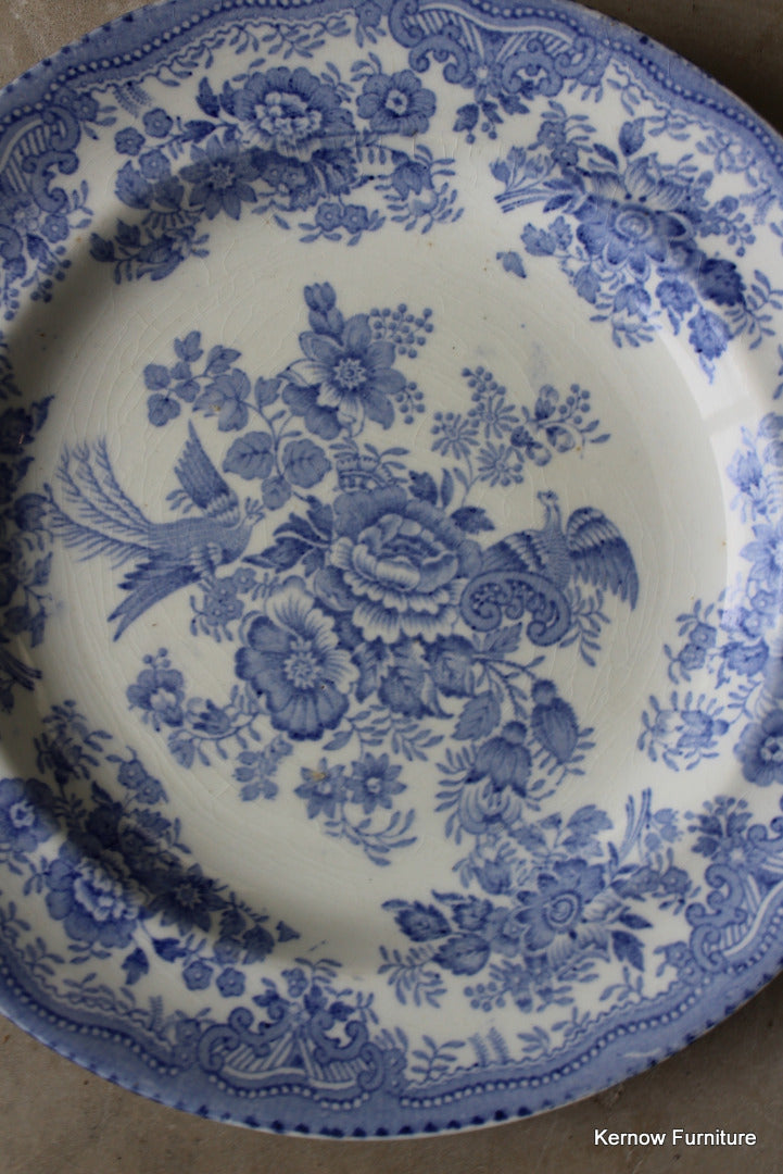 Pair Royal Cauldon Vintage Plates - Kernow Furniture