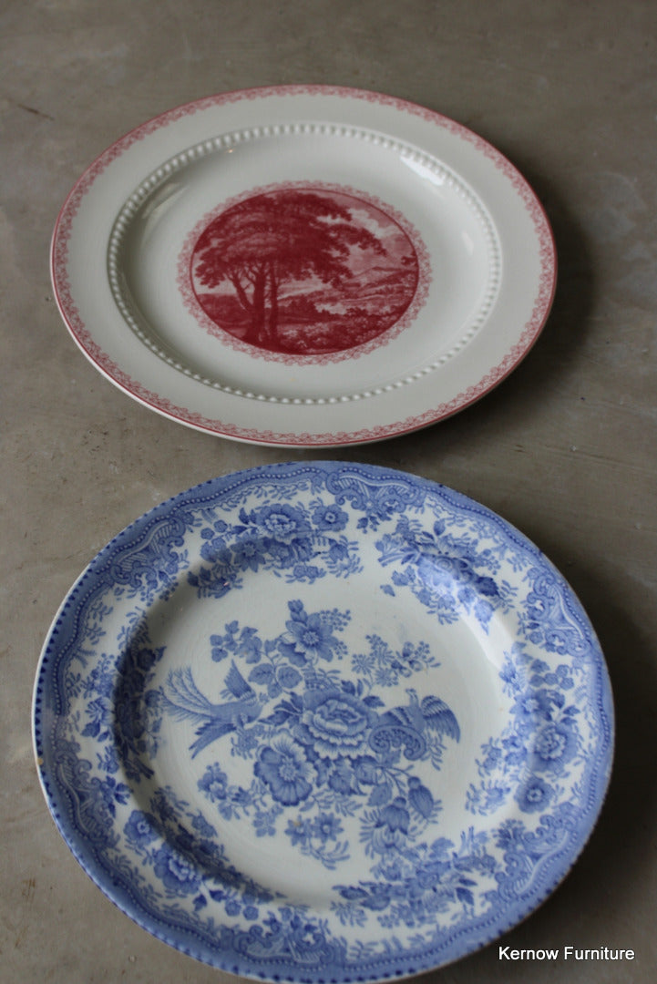 Pair Royal Cauldon Vintage Plates - Kernow Furniture