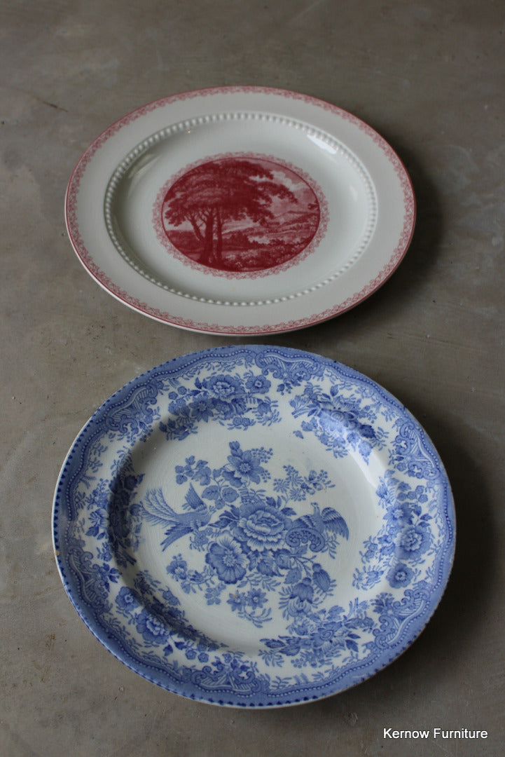 Pair Royal Cauldon Vintage Plates - Kernow Furniture