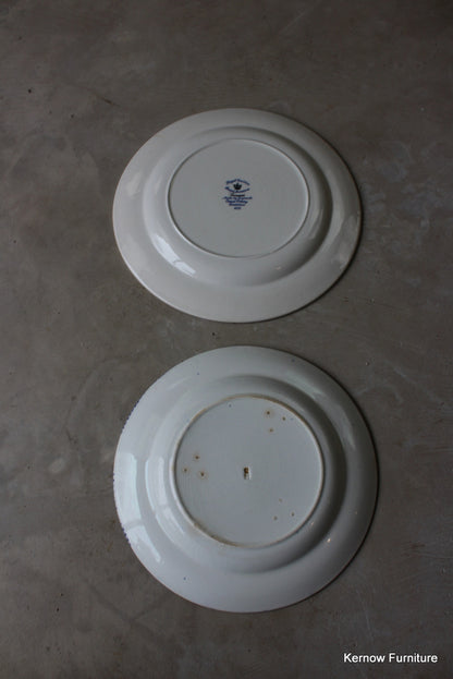 Pair Royal Cauldon Vintage Plates - Kernow Furniture