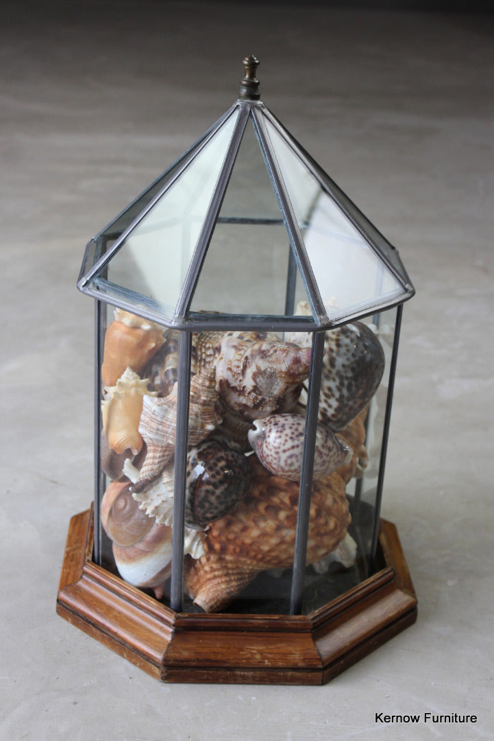 Vintage Lead Glazed Terrarium - Kernow Furniture