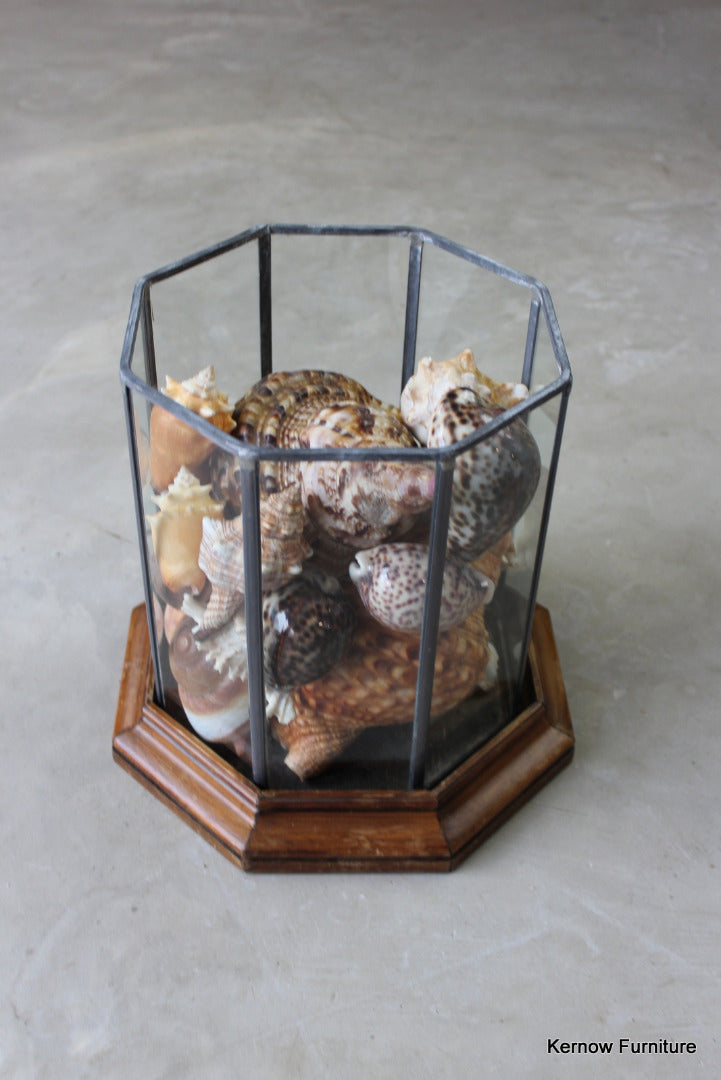 Vintage Lead Glazed Terrarium - Kernow Furniture