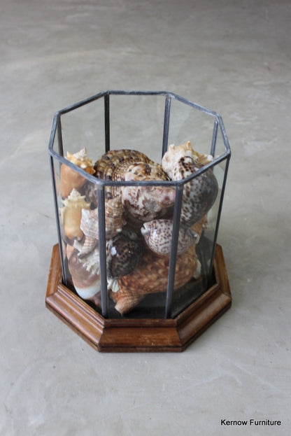 Vintage Lead Glazed Terrarium - Kernow Furniture