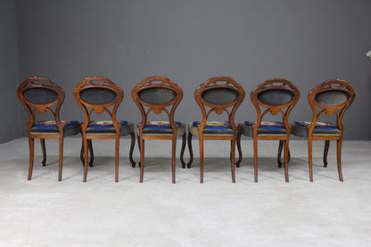 6 Antique Walnut Dining Chairs - Kernow Furniture