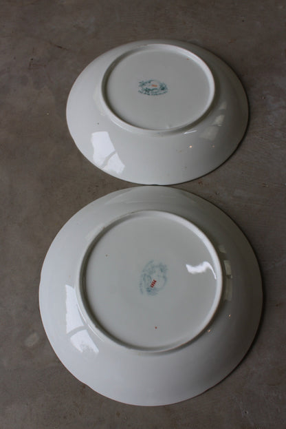 Pair Minton & Boyle Felspar Floral Porcelain Plates - Kernow Furniture