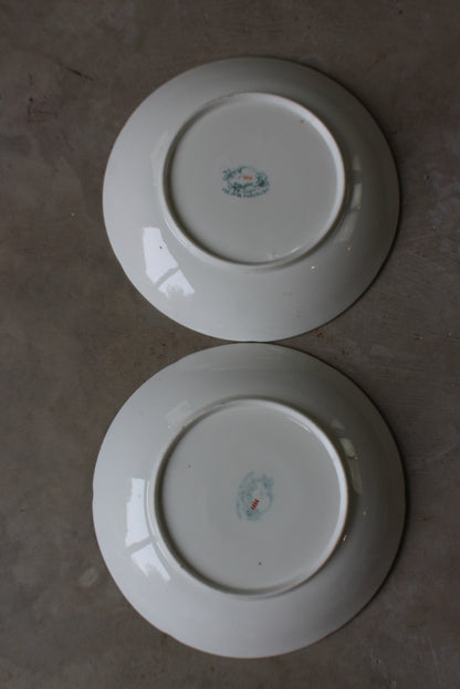 Pair Minton & Boyle Felspar Floral Porcelain Plates - Kernow Furniture