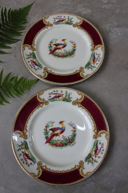 Myott & Son Chelsea Bird Dinner Plate - Kernow Furniture