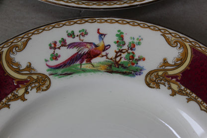 Myott & Son Chelsea Bird Dinner Plate - Kernow Furniture