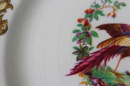 Myott & Son Chelsea Bird Dinner Plate - Kernow Furniture