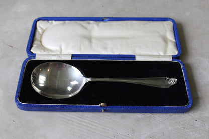 EPNS Serving Spoon - Kernow Furniture