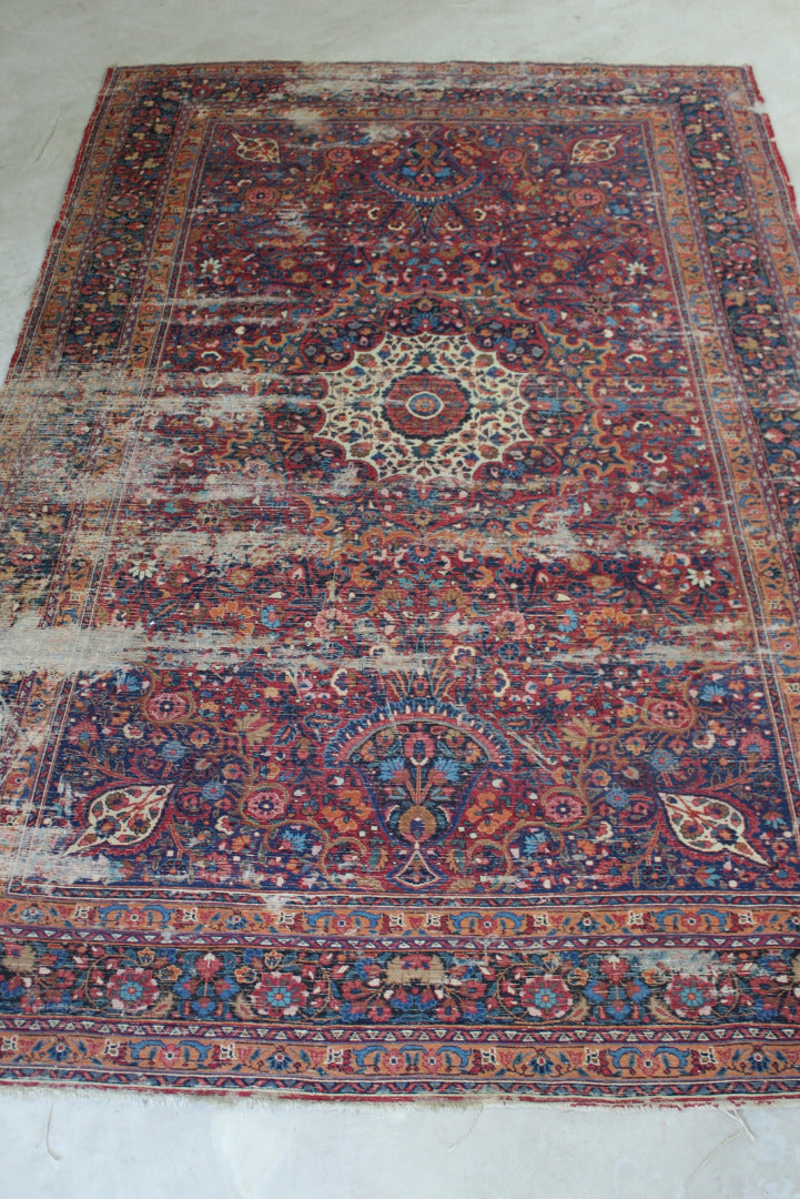 Meshad Rug - Kernow Furniture