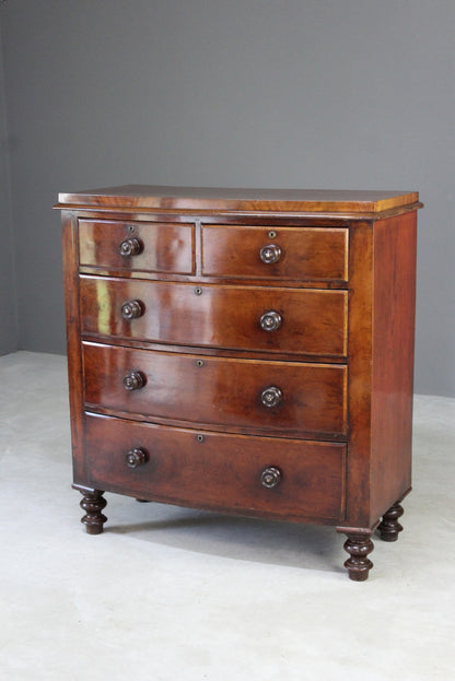 Antique Bow Front Mahogany Chest of Drawers - Kernow Furniture