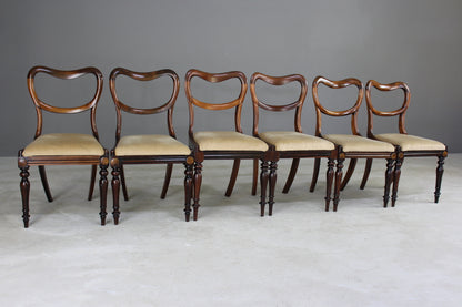 6 Antique Victorian Rosewood Dining Chairs - Kernow Furniture