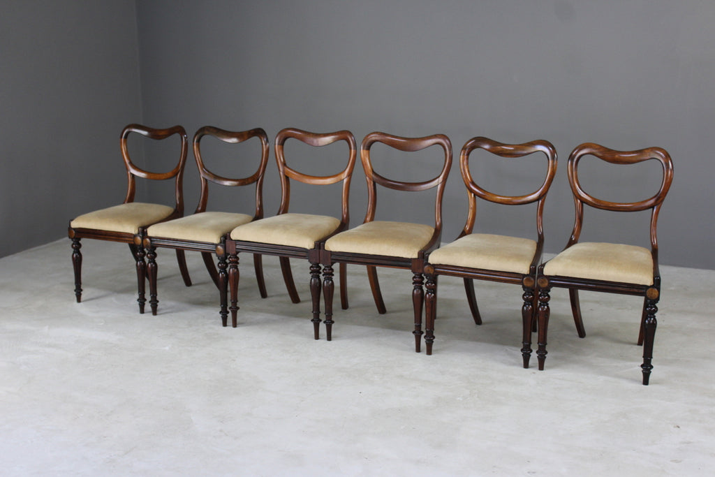 6 Antique Victorian Rosewood Dining Chairs - Kernow Furniture