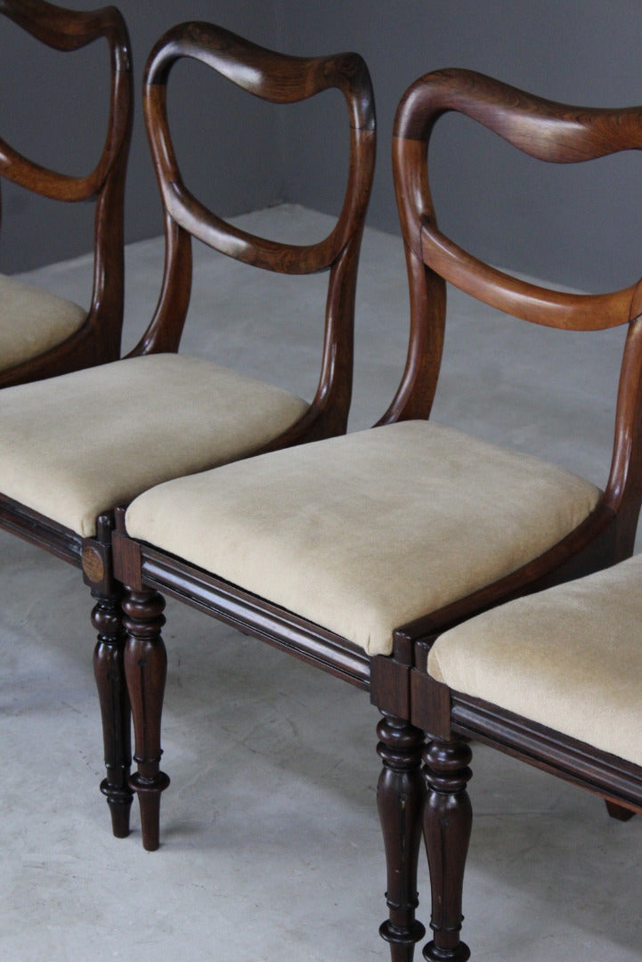 6 Antique Victorian Rosewood Dining Chairs - Kernow Furniture