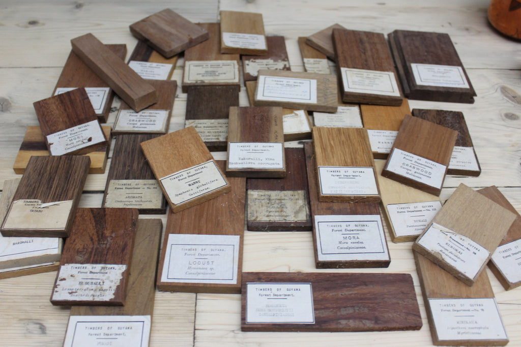 Vintage Collection of Wood Samples Timbers of Guyana - Kernow Furniture
