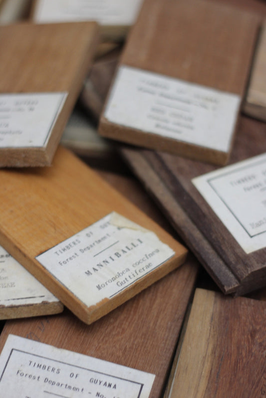 Vintage Collection of Wood Samples Timbers of Guyana - Kernow Furniture