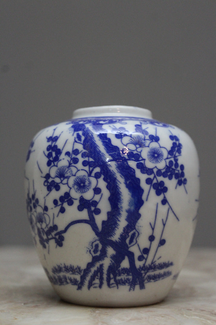 Oriental Blue & White Blossom Ginger Jar - Kernow Furniture