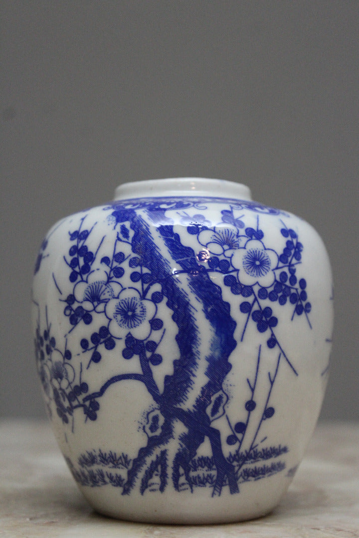 Oriental Blue & White Blossom Ginger Jar - Kernow Furniture