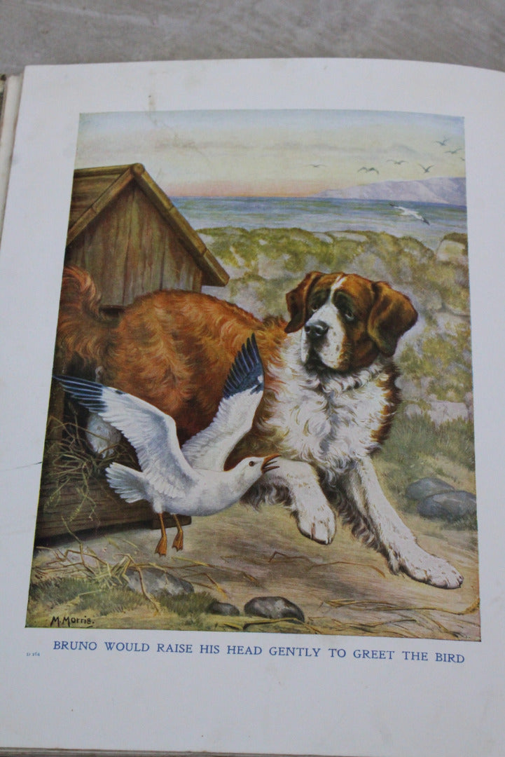 My Animal Story Book - Kernow Furniture