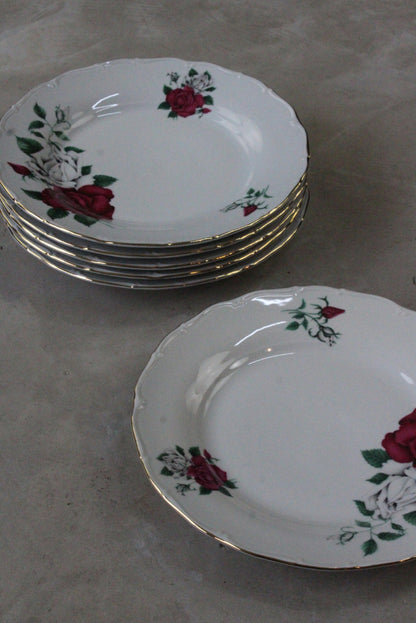 6 Vintage Czech China Dinner Plates - Kernow Furniture