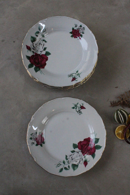 6 Vintage Czech China Dinner Plates - Kernow Furniture