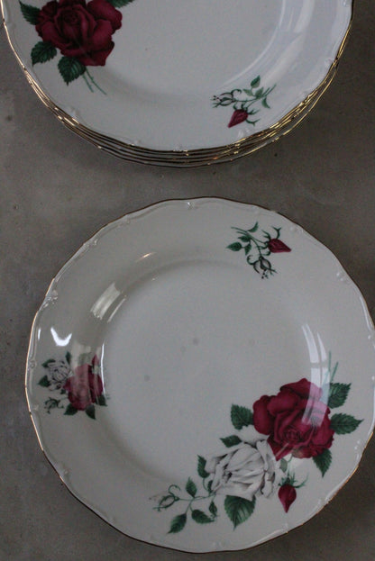 6 Vintage Czech China Dinner Plates - Kernow Furniture