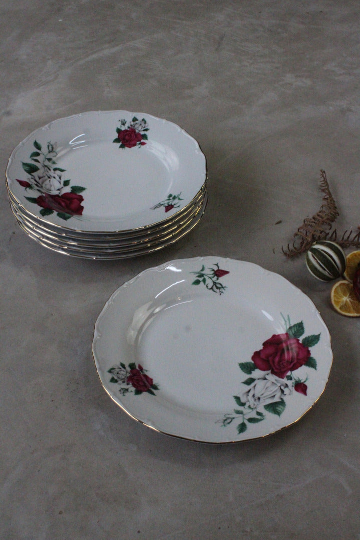 6 Vintage Czech China Dinner Plates - Kernow Furniture