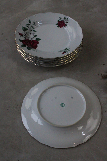 6 Vintage Czech China Dinner Plates - Kernow Furniture