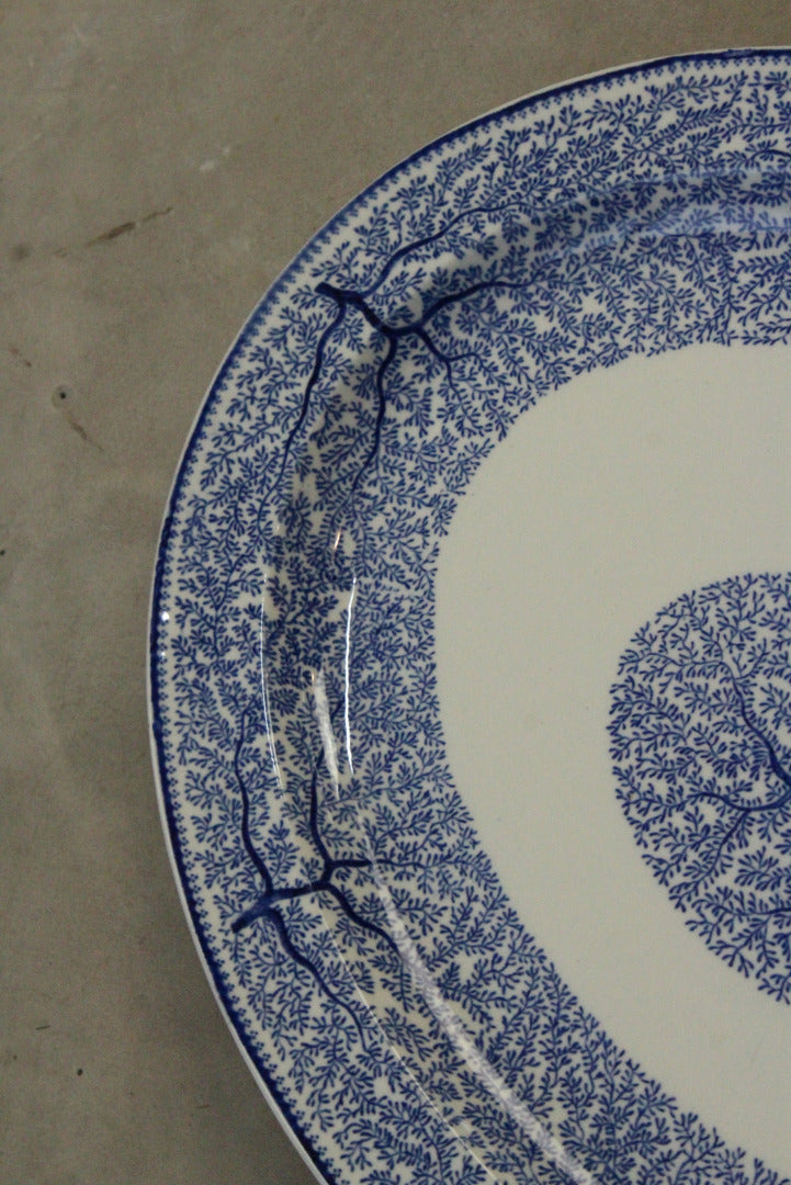 Wood & Sons Blue & White Oval Plate - Kernow Furniture